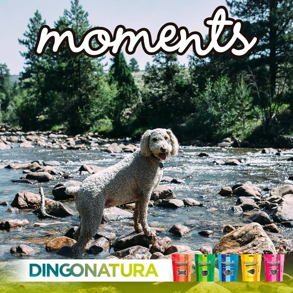 Moments hundesnack Kylling og Ost 60 g - naturlige hundegodbidder